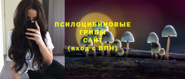 гидропоника Зеленодольск