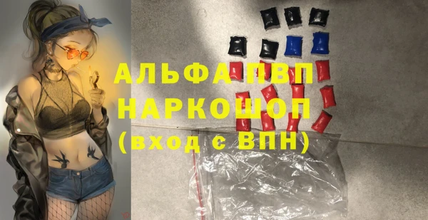 ECSTASY Инсар