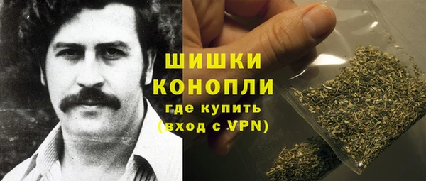 ешки Инта
