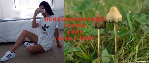MESCALINE Иннополис